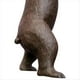 thumbnail image 5 of Modelo de Anatomía del Oso Animal 4D Vision, 36 Piezas, Órgano de Biología Animal Desmontable, Suministros Anatómicos para el Aula, Enseñanza, 5 of 5