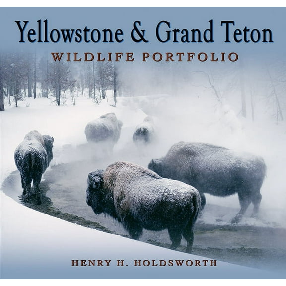 Yellowstone & Grand Teton Wildlife Portfolio (Sc) (Paperback)