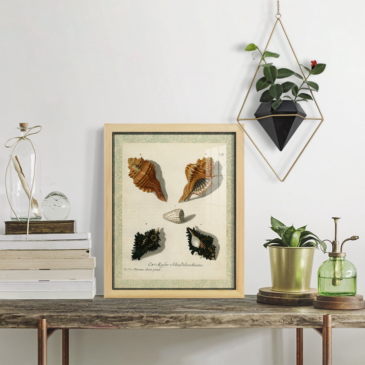 Bookplate Shells I - Framed Print w/glass - Natural Wood