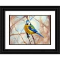 thumbnail image 1 of Pautov, Igor 18x14 Black Ornate Wood Framed with Double Matting Museum Art Print Titled - The Tit, 1 of 4