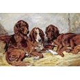 thumbnail image 2 of Emms, John 24x17 Gold Ornate Wood Framed with Double Matting Museum Art Print Titled - Shot and His Friends - Three Irish Red and White Setters, 2 of 4