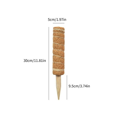 Summer Deals,Palm Stick Green Scindactus Plant Climbing Vine Pole Flower Bracket