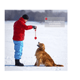 thumbnail image 4 of Lishi Pet Rubber Chew Toy Ball on a Rope Dog Interactive Ball Thrower large, 4 of 6