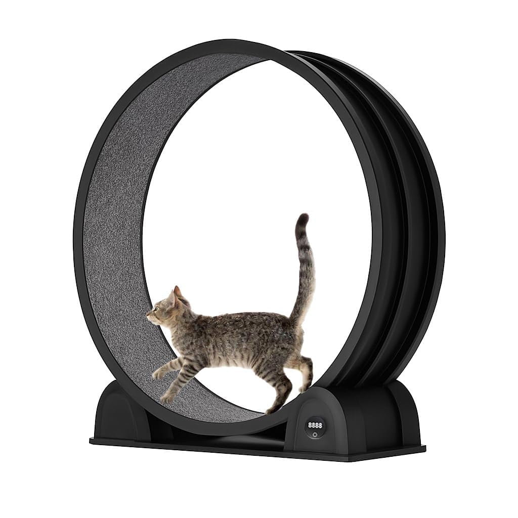 Cat Exercise Wheel for Indoor Cats, Fast Cat Wheel 45'' Quiet Cats Treadmill with Pedometer, Pet Running Wheels for Weight Loss and Health Black