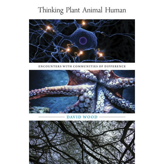 Posthumanities: Thinking Plant Animal Human : Encounters with Communities of Difference (Series #56) (Paperback)