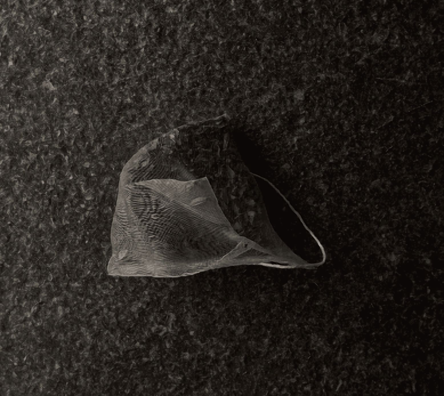 CHAMELLIA Sencha Green Pyramid Tea Bags (3G x 50)