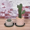 thumbnail image 5 of Uxcell Plastic Wave Round Plant Pot Saucer Flower Drip Tray 4pcs Green 5.3", 5 of 5