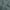 Teal Green, variant on oneOone Polyester Spandex Dusty Rose Fabric Tropical Fabric For Sewing Printed Craft Fabric By The Yard 56 Inch Wide