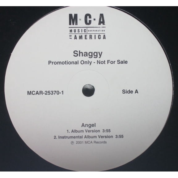 Shaggy Angel (Vinyl Record)