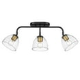 thumbnail image 3 of Golden Lighting  Roxie 3 Light Semi-Flush in Matte Black, 3 of 4