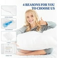thumbnail image 4 of Safe and Sound Waterproof Quilted Pillow Protector, Queen - Super Soft and Breathable (2 Count), 4 of 7