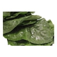 thumbnail image 3 of Acelga Frutas y Verduras Frescas por Pieza, 3 of 8