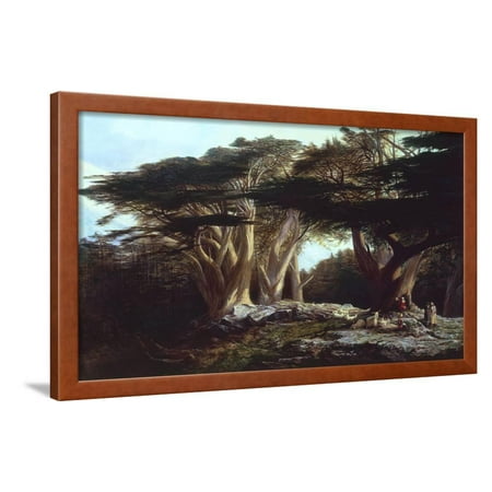 The Cedars of Lebanon  Framed Print Wall  Art  By Edward Lear 