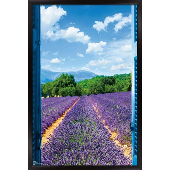 Lavender Field Wall Poster, 14.725" x 22.375", Framed