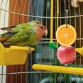 thumbnail image 3 of Parrots Fruit Skewer Stainless Steel Birds Vegetable Fruit Holder, 3 of 6