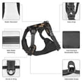 thumbnail image 6 of Lsque Modern Golden Butterfly Dog Harness, No-Pull Pet Harness with 2 Leash Clips, Adjustable Soft Padded Dog Vest with Easy Control Handle for Large Dogs-Large, 6 of 9