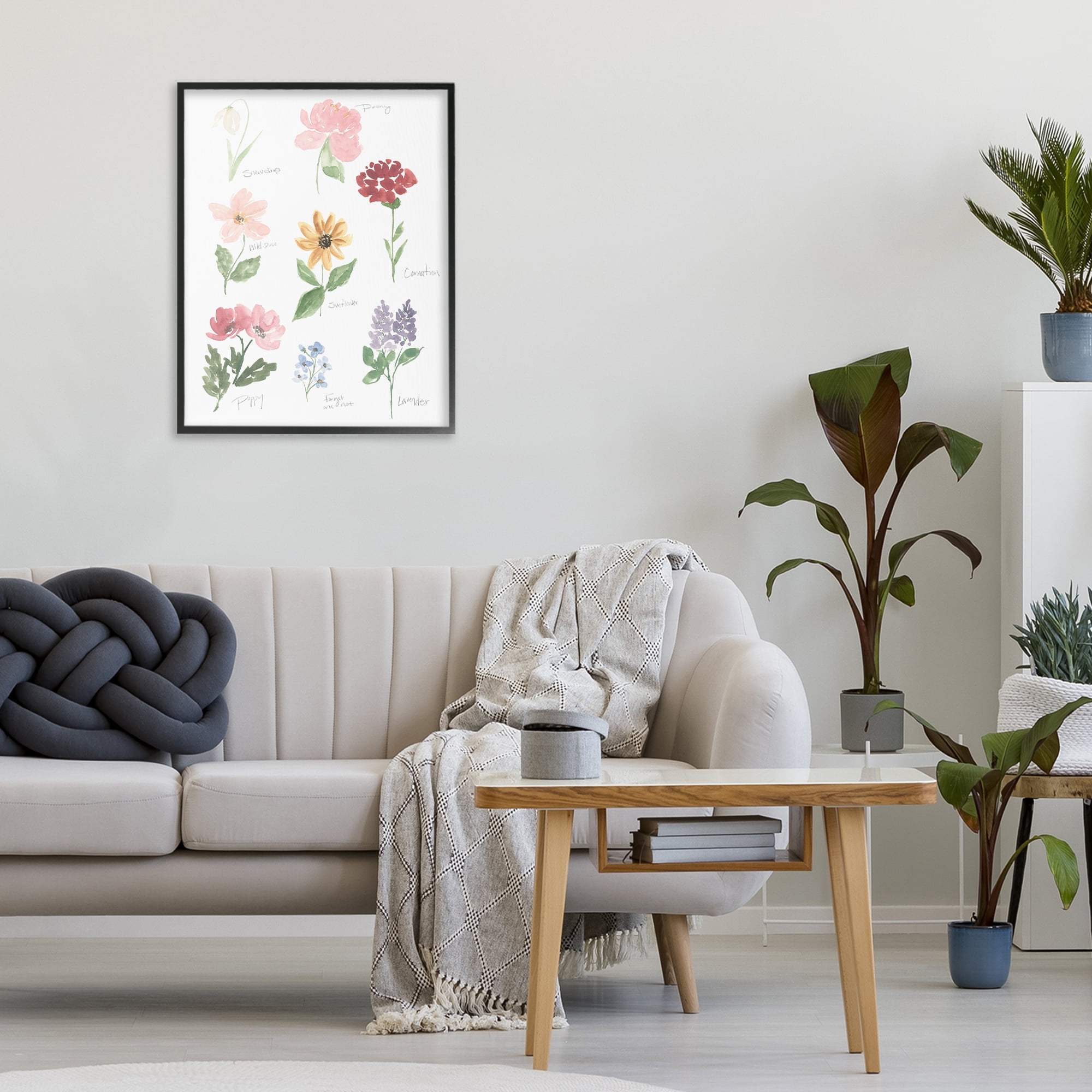 Stupell Industries Labeled Flower Varieties Black Framed Giclee Art, design by Lucille Price