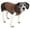 Blue / Brown, variant on Folding Zippered 360Â° Vista View House Pet Crate