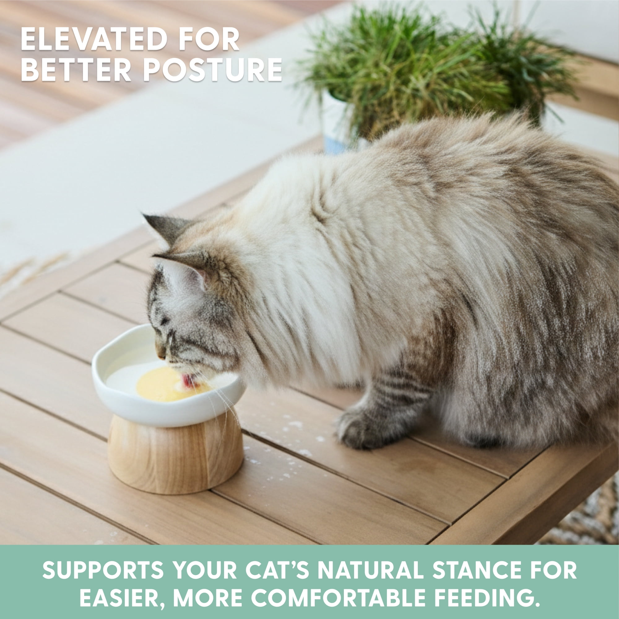 The Cat Ladies Egg Cat Food Bowl - Cute Cats Bowl - Elevated Ceramic Food Bowls - Ceramic Raised Food Bowl