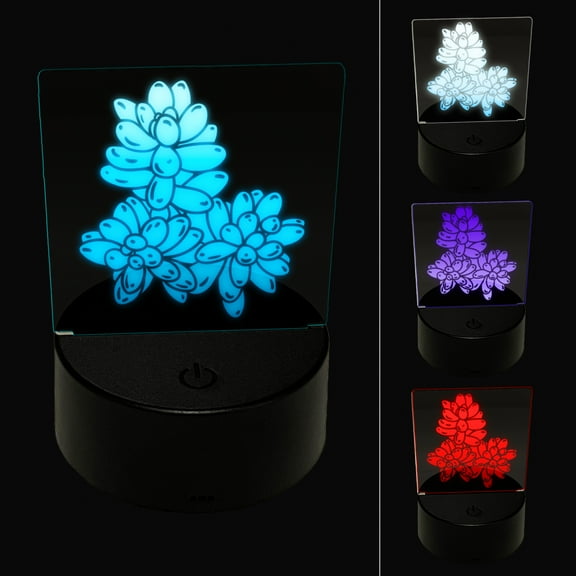 Sedum Rubrotinctum Jelly Bean Succulent Plant LED Night Light Sign 3D Illusion Desk Nightstand Lamp