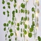 thumbnail image 5 of Guirnalda De Hiedra Artificial, Luces De Hadas LED, Cadena De Luces De Bastón De Simulación Para Decoración De Interiores Y Exteriores ANGGREK Artificial Cane Light String, 5 of 6