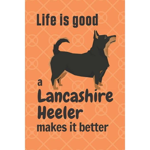 are lancashire heelers good dogs