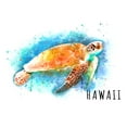 thumbnail image 3 of Hawaii, Sea Turtle, Watercolor (100% Cotton Canvas Reusable Tote Bag), 3 of 3