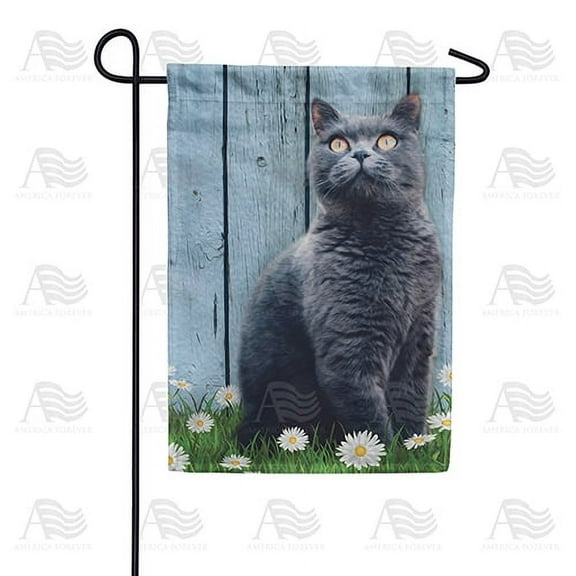 America Forever Spring Kitty Garden Flag 12.5 x 18 inches Double Sided Cute Animal, Summer Flowers, Daisy - Seasonal Yard Lawn Outdoor Decorative Grey Cat Garden Flag