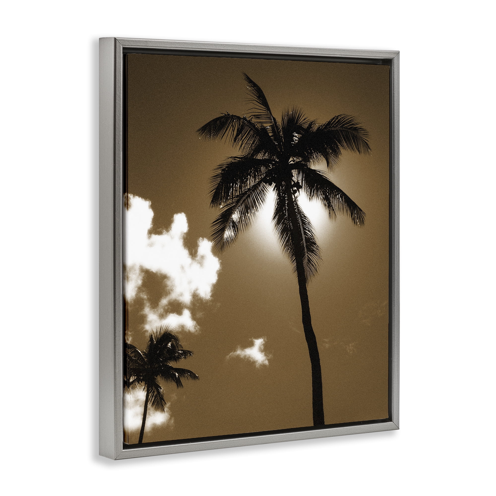 Stupell Industries Sunlight Through Palms Landscape Photography Gray Floater Framed Canvas Art Print Wall Art, 17 x 21