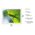 thumbnail image 2 of Here’s Looking at You Kid - Hawaiian Gecko - From an Original Color Photograph by Devon Stevens - Fine Art Matte Paper Print (Unframed) 20x26in, 2 of 4