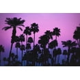 thumbnail image 2 of Mossholder, Tim 14x11 White Modern Wood Framed Museum Art Print Titled - Palms with Pink Sky, 2 of 4