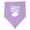 Lavender and Pink, variant on Inktastic Future Rugby Player Baby Bandana Bib