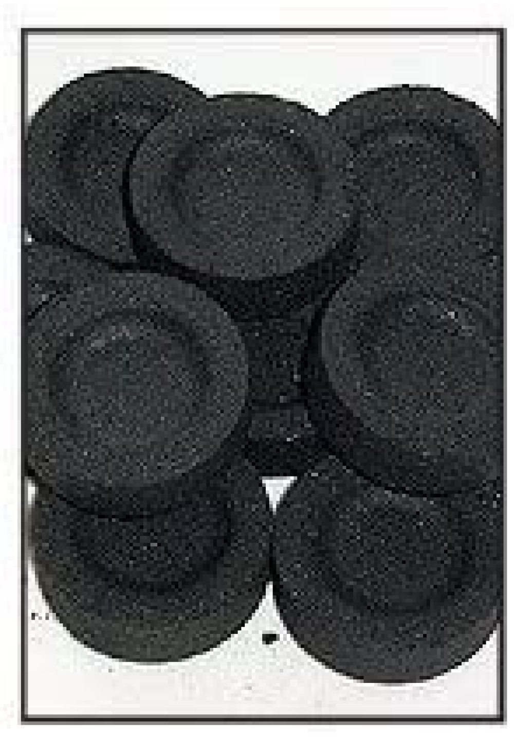 3 X Charcoal for Incense Pack of 10 Rounds (33mm)