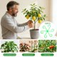 thumbnail image 2 of Clips de soporte para plantas trepadoras, marcos plegables ajustables con juego de 16 abrazaderas, varios tamaños para jardines y flores interiores, 2 of 7