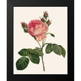thumbnail image 2 of Redoute, Pierre 15x18 Black Modern Framed Museum Art Print Titled - Redoutes Rose I, 2 of 5