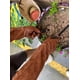 thumbnail image 5 of Guantes de poda de rosas para hombres y mujeres, guantes de jardinería largos a prueba de espinas, guantelete de piel de cerdo transpirable, el mejor jardín, 5 of 5
