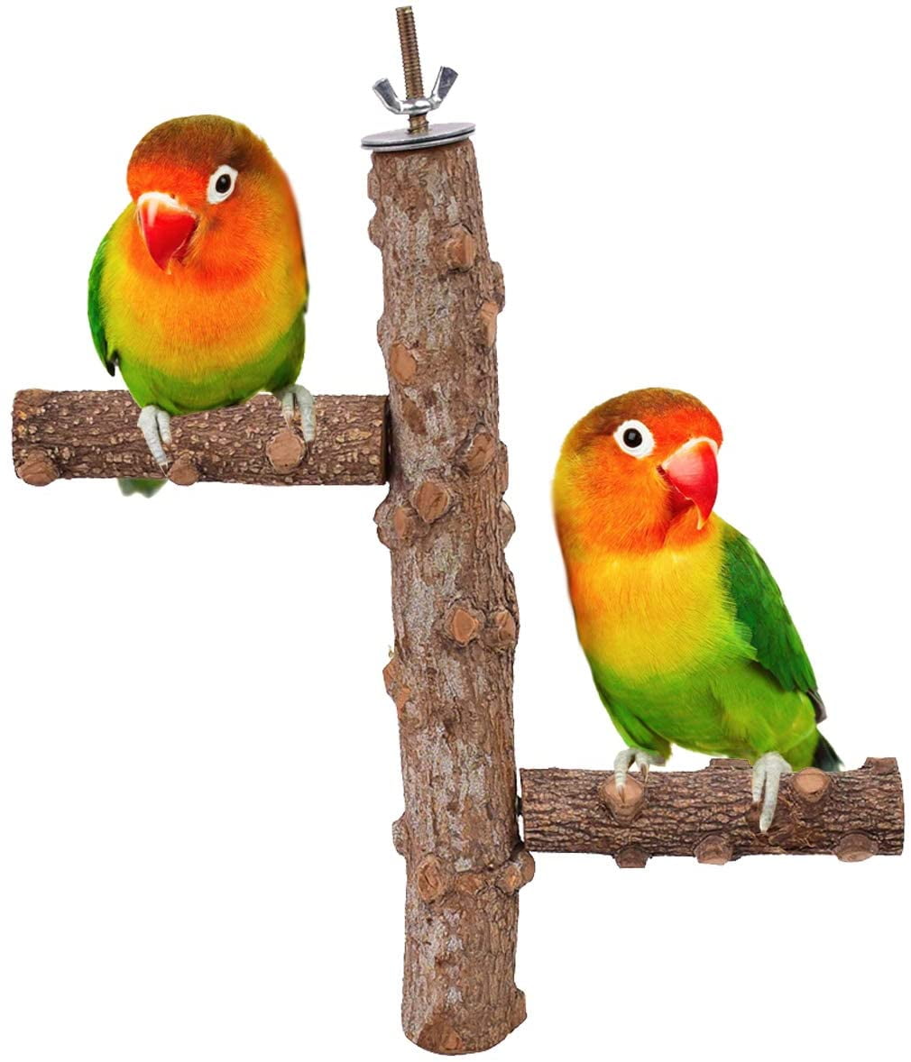 hwangli Parrot Scratching Chewing Standing Stick Natural Wood U-Shape Bird Stand Perch Wood S 