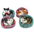 thumbnail image 1 of Coolayoung 4 Piezas Gato Durmiendo En Un Criadero Muñeca De Juguete Mini Gatito En La Almohadilla para Mascotas Decoración para Escritorio De Oficina Juguete De Mano para Regalo para Niños Niñas, 1 of 5