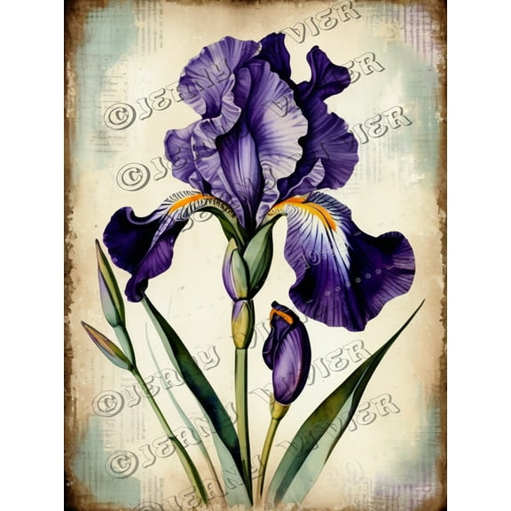 Purple Iris Tin Sign - 12"x16" - Aluminum - Room Wall Art & Decor - Metal Signs For Home Office Cafes Club Pub Indoor & Outdoor