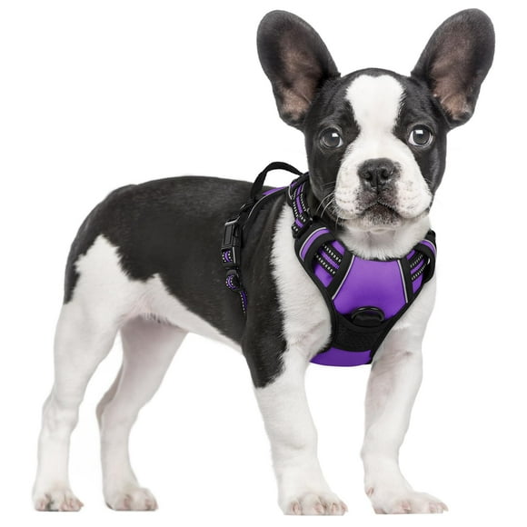 rabbitgoo Harnais pour Chien, Harnais pour Animaux de Compagnie Anti-Traction avec 2 Clips de Laisse, Gilet Rembourré Doux Réglable, Gilet Oxford Réfléchissant Anti-Étouffement avec Poignée de Contrôle Facile pour Petits Chiens, Violet, P