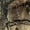 Duck Camo Hunter, variant on Camouflage Pullover for Women Oversized Duck Camouflage Long Sleeve Lightweight Daily Top Crewneck Pullover for Women, Size 2XL