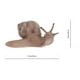 thumbnail image 3 of 2 figuras de caracol de simulación, juguete de caracol, modelo educativo animal de simulación., 3 of 8