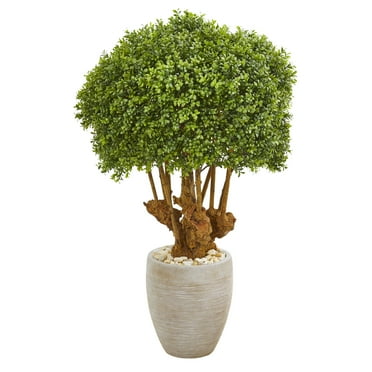 41” Boxwood Artificial Topiary Tree in Sandstone Planter (Indoor/Outdoor) by Nearly Natural