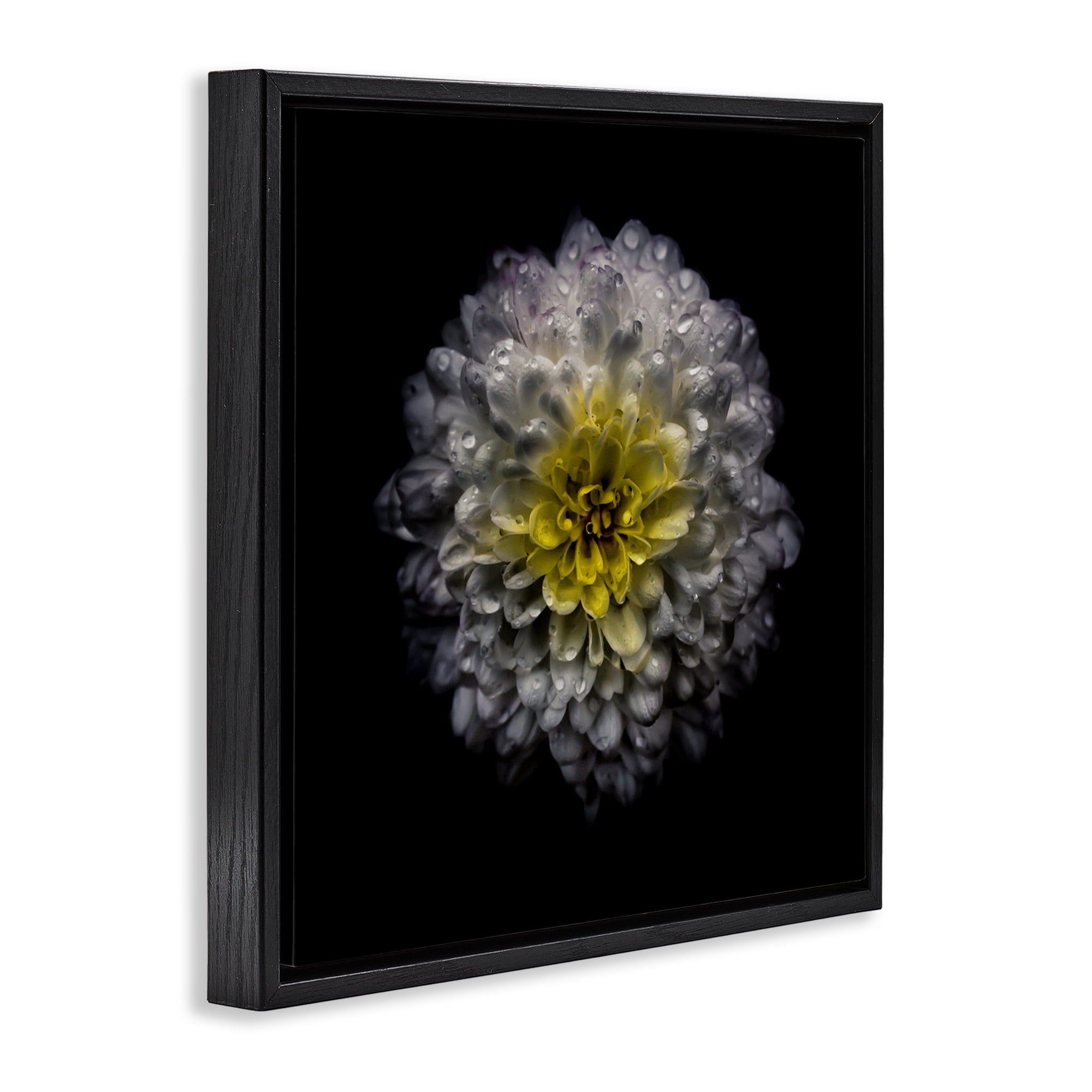 White And Yellow Mum Black Framed Floater Canvas Wall Art, design by Brian Carson Photography