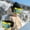Ski Goggles Under $5 A3737, variant on kkbbma under $5 Ski Goggles, Ski Goggles, Double Lens Anti Fog Snow Goggles, Polarized UV Protection Sports Glasses, Large Frame Winter Sports Eyewear, Outdoor Mountaineering Skiing Glasses