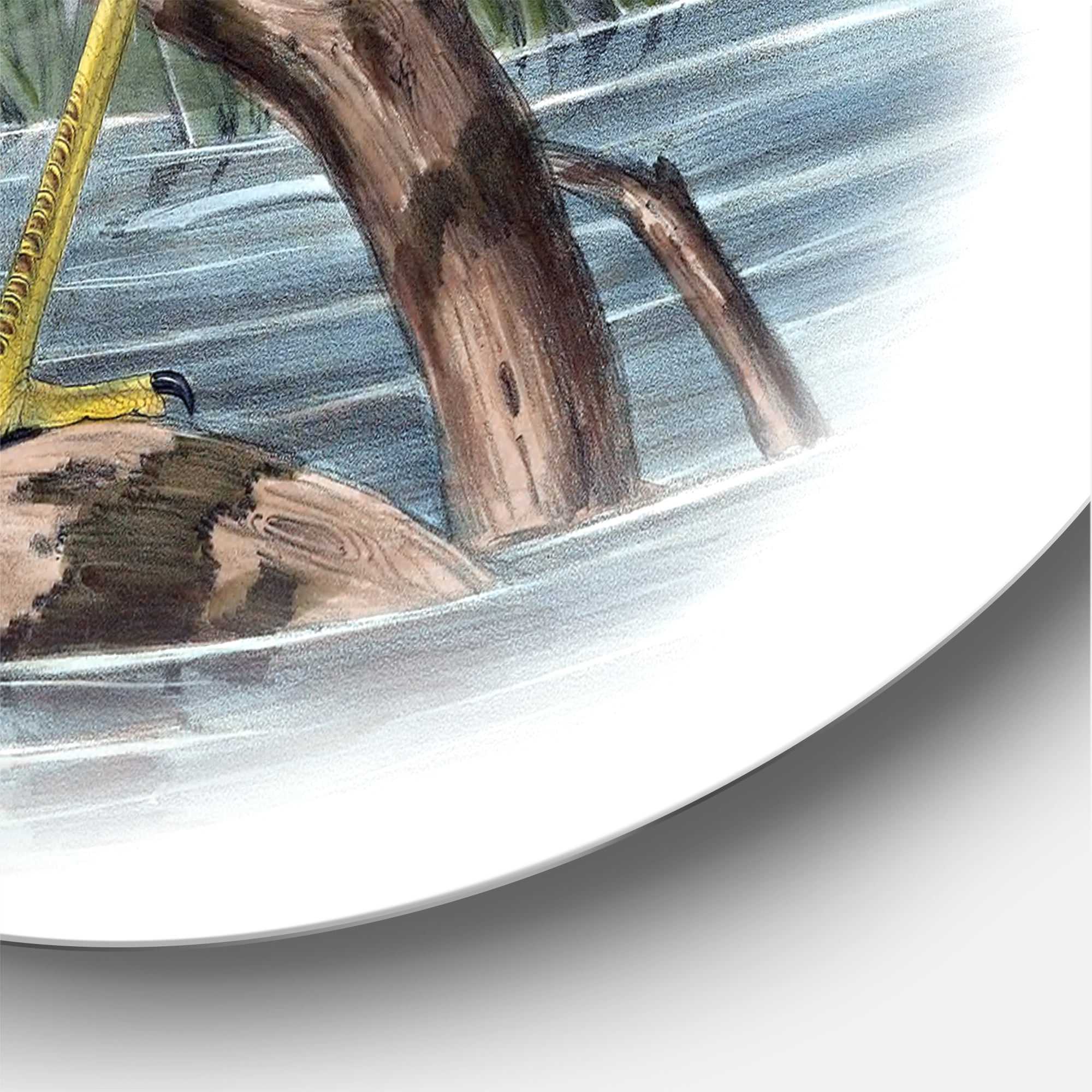Designart 'Ancient Australian Birds II' Traditional Circle Metal Wall Art 23x23 - Disc of 23