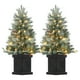 thumbnail image 1 of Yeshouse Árbol de Navidad Artificial pre-iluminado de 3 pies con luces LED, pequeño árbol de Navidad para mesa, hogar, oficina, apartamento, dormitorio, ramas realistas, fácil montaje, 1 of 7