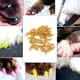 thumbnail image 2 of 100PCS Durable Pet Cat Soft PVC Nail Cover Paw Garra Cap Wrap Accesorio de aseo (Crystal Gold M), 2 of 8