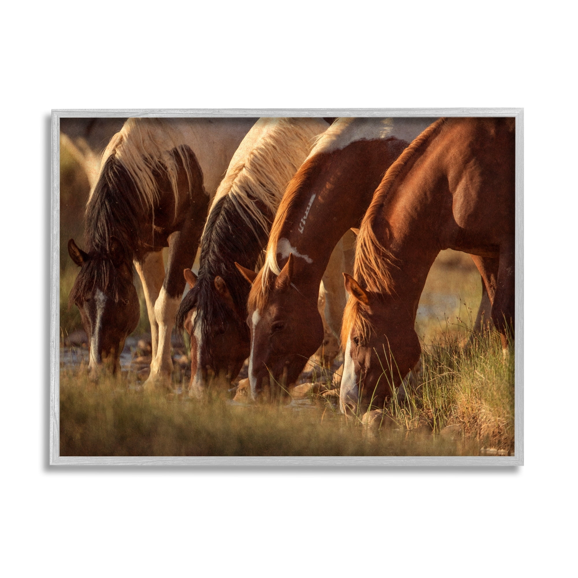 Stupell Industries Sunlit Horses Drinking Water Wildlife Nature Scene Photograph Gray Framed Art Print Wall Art, Design by Jan Walters