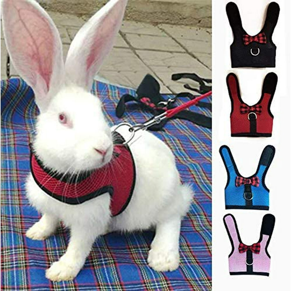 Windfall Multipurpose Rabbits Hamster Vest Harness with Leash Bunny
